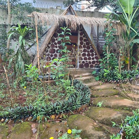 Backpacker Hostel And Jungle Trekking بانلونغ المظهر الخارجي الصورة