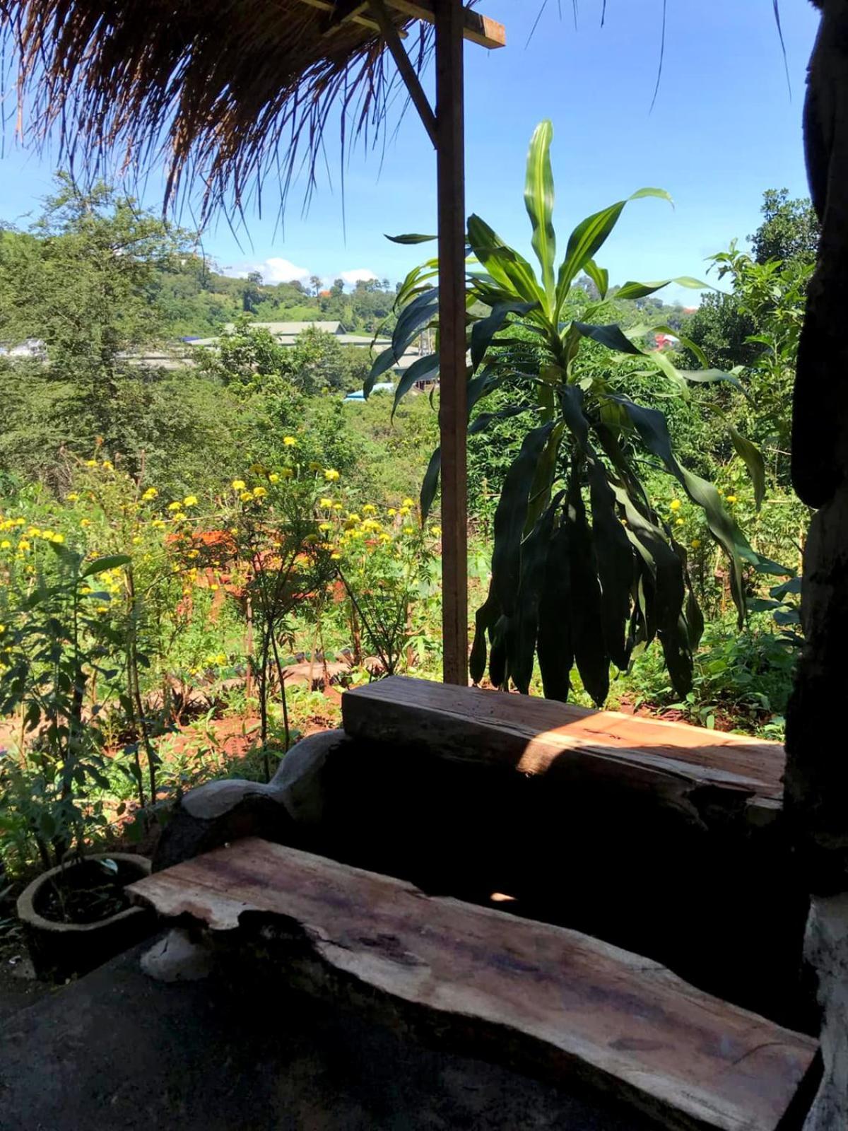 Backpacker Hostel And Jungle Trekking بانلونغ المظهر الخارجي الصورة