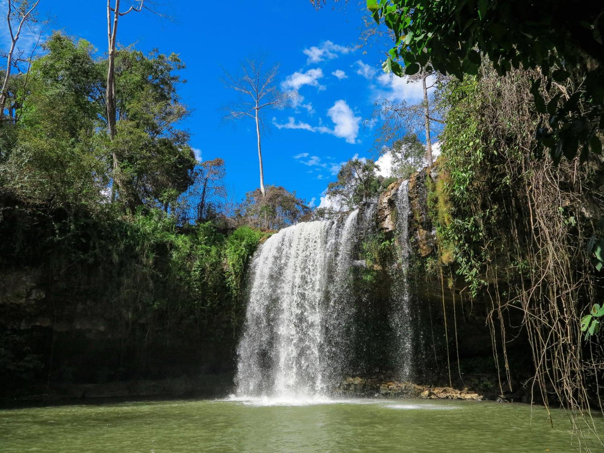 Backpacker Hostel And Jungle Trekking بانلونغ المظهر الخارجي الصورة